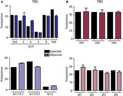 Next-Generation Sequencing Analysis of the Human TCRγδ+ T-Cell Repertoire Reveals Shifts in Vγ- and Vδ-Usage in Memory Populations upon Aging